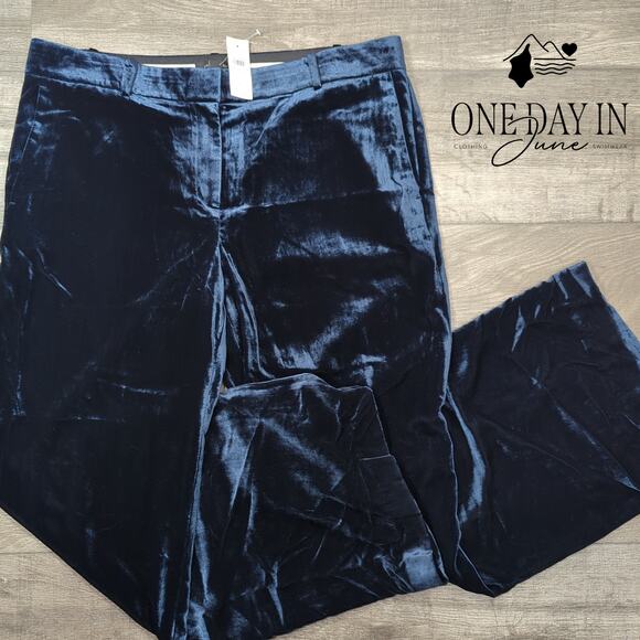 Ann Taylor Pants - Ann Taylor Velveteen Wide Leg Pants Size 14